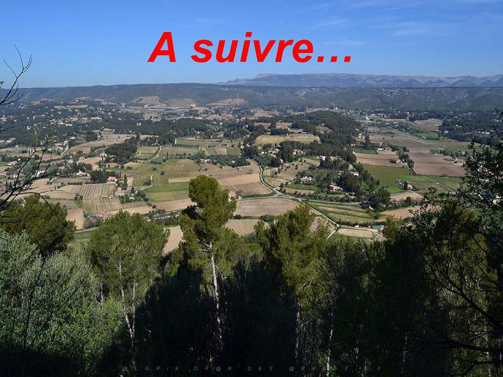 183 D36 LE LAVANDOU_000076.jpg